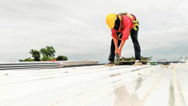 4 Ply Roofing in Duenweg, MO