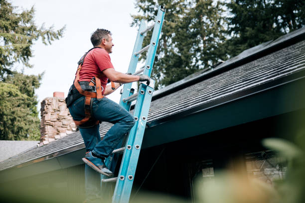 Best Green or Eco-Friendly Roofing Solutions  in Duenweg, MO