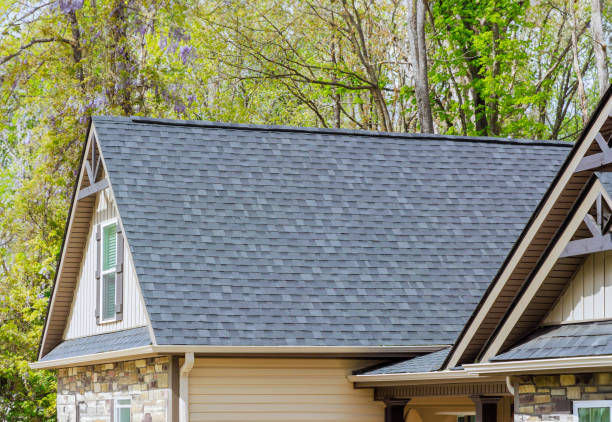 Best Storm Damage Roof Repair  in Duenweg, MO